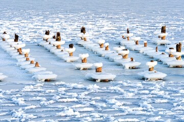 Frozen wooden posts covered with ice stand in a winter sea. Abstract coastal landscape with drifting ice, cold light and repeating shapes. Concept of winter weather, frozen water, © Igor
