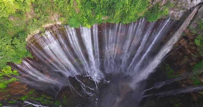 Top-Down Aerial View of Tumpak Sewu Waterfall Surrounded by Lush Tropical Forest, Indonesia