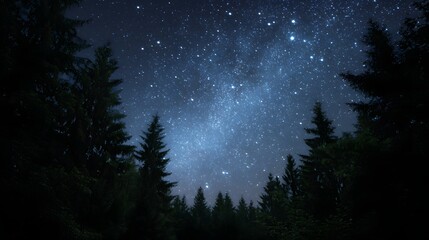 Fototapeta premium A dark forest silhouette against a brilliant starry night sky dotted with countless bright stars