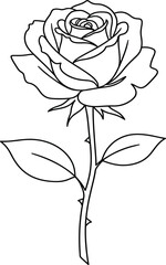 Rose flower line art vector illustration isolated on white background