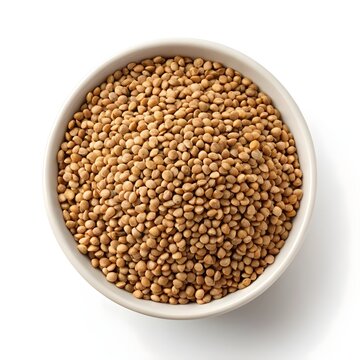 Horse Gram Seeds On A White Solid Background, Close Up Macro Image Of Brown Shiny Seeds, Representing Organic Legumes, Protein Rich Superfood, Traditional Nutrition, And Sustainable Healthy Living