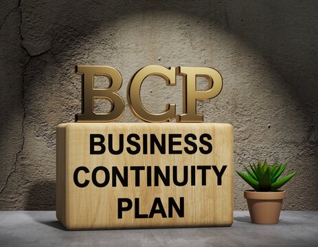 Business continuity plan bcp on wooden block with succulent