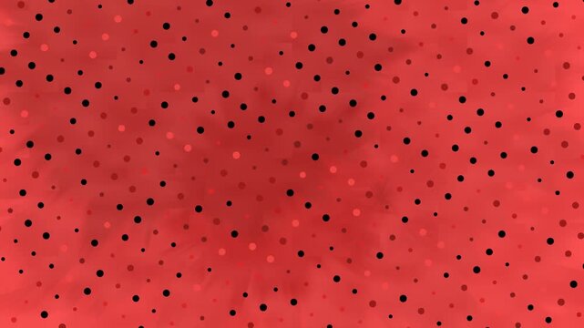 Close Up Watermelon Seeds On Red Flesh Video.