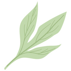 Green Leafs Illustration