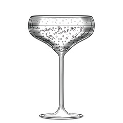 Wide coupe champagne glass, hand drawn vector illustration in line art style. Retro cabaret sparkling wine sketch. Flirty festive drink. Vintage engraving for bars and menus.
