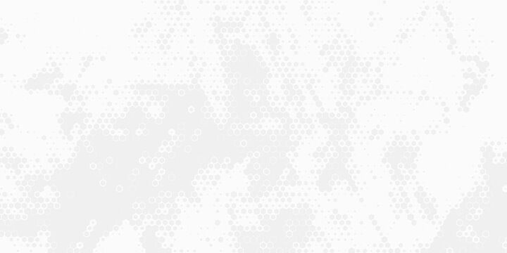 Light Gray Abstract Halftone Dot Background with Soft Texture