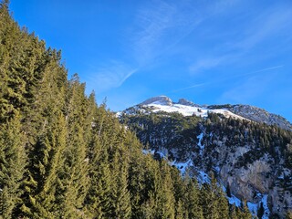 mount rainier national park