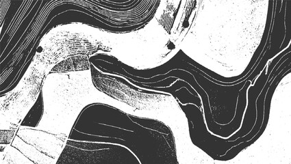 Obraz premium Abstract monochrome pattern of curved lines and textured areas resembling aerial view of fields and waterways