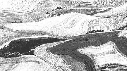 Fototapeta premium Aerial view of contoured farmland with dark soil and white lines