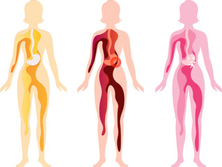 Women silhouette with stomach. Health, pain and illness. Paper cut design element. Medical vector layered illustration.