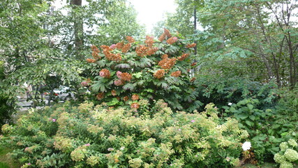 Beautiful landscape garden in a public parisian park; Paris, France