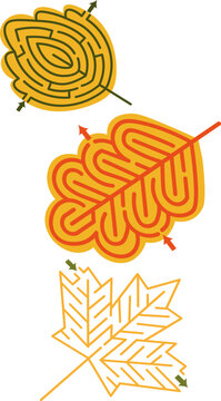 maze for children, autumn leaf maze,vector,labyrint