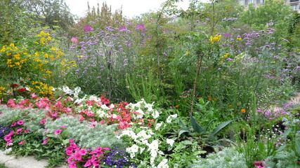 Beautiful flowerbed with various flowers and plants in purple, pink and green colors