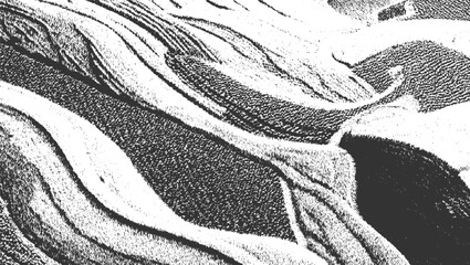 Obraz premium Abstract monochrome textured pattern of flowing organic shapes and lines
