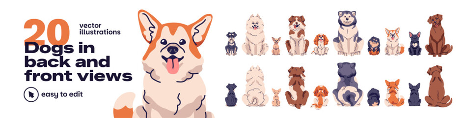 Obraz premium Front and back views of dogs set. Puppies of different breeds from various sides. Sitting and turning away pets. Cute domestic animals. Flat isolated vector illustrations on white background