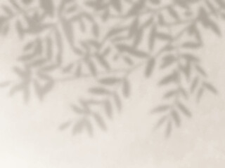 木の影が壁に映る背景素材