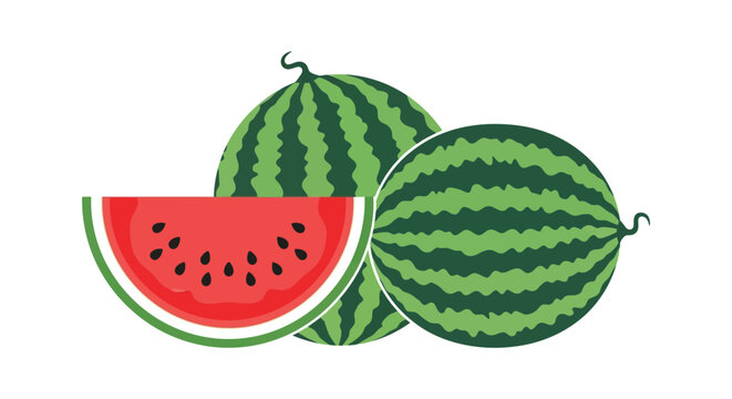 A vibrant illustration depicts several watermelons showcasing both whole fruits and a juicy slice emphasizing freshness high quality