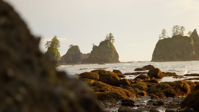 Stunning Sunset At Washington States Coastline