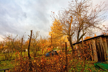 Old Garden in a Village in Late Autumn