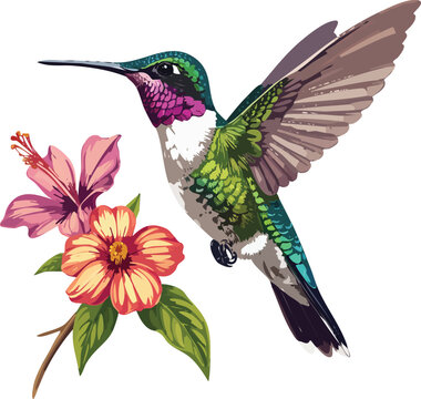 hummingbird and flower