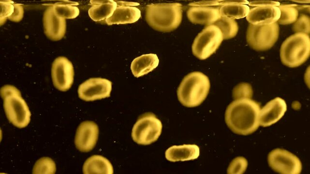 Yellow cells floating on dark liquid surface.
