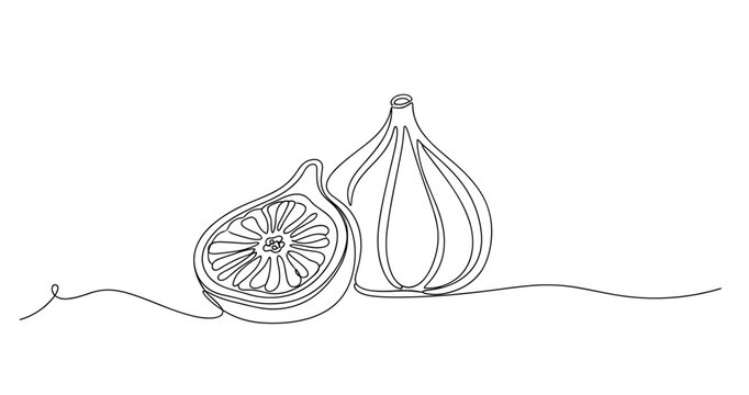 Continuous line drawing of whole and halved figs on white background. Non editable stroke