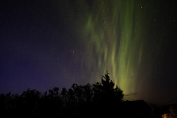 Green Aurora Northern Lights Trees