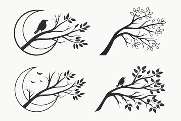 Placeholder image display