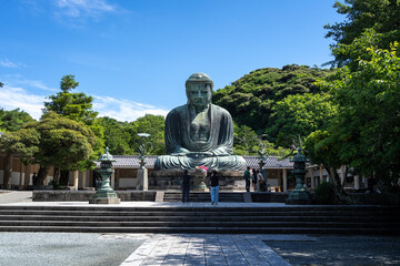 Obraz premium Great Buddha Daibutsu statue at Kotoku-in temple in Kamakura, Japan