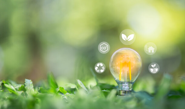 Using renewable energy helps reduce air pollution. The icon around the light bulb is an energy-saving icon.