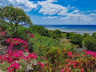 Obraz premium Tanna, Vanuatu