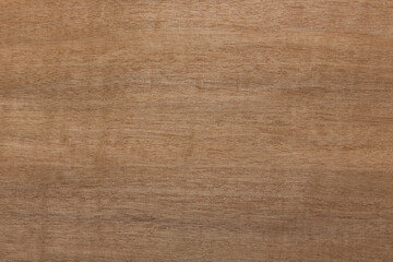 Elegant nut veneer texture for your new project.