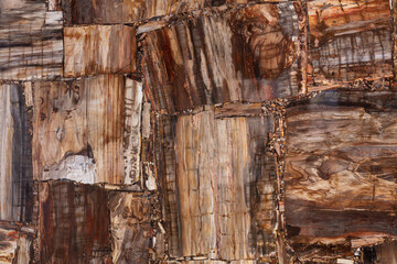 Petrified wood texture slab closeup. Semiprecious, gemstone stone for ceramic wall, floor digital tiles. Matt material for unique interior, exterior design. Semi precious luxury pattern, background