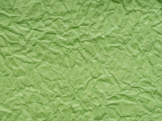 Verdant whispers across crumpled contours, a testament to nature's resilience in paper form