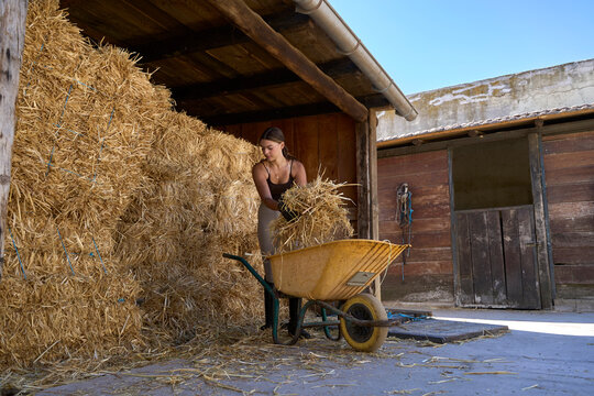 Person working at barn stacking hay with wheelbarrow outdoors