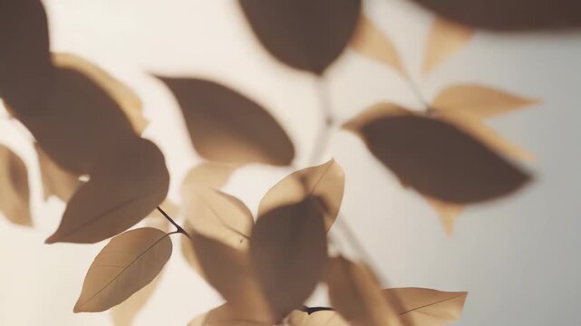 Delicate translucent leaves on a branch creating a soft natural background, highlighting the fragility of nature and the gentle warmth of diffusing light