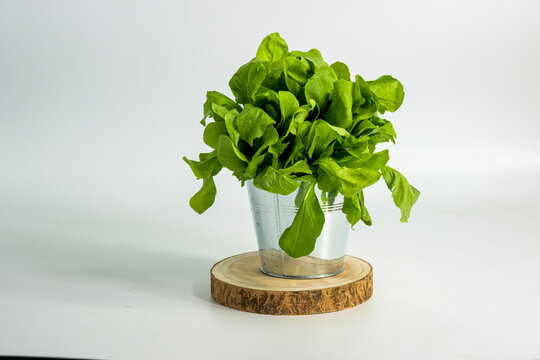 Salad green leaves called Jir Jir sits on a wooden base.