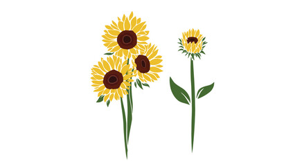 Obraz premium A vibrant illustration of sunflowers on a white background