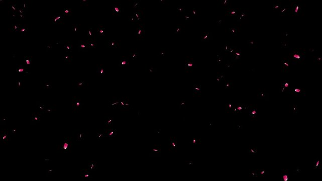 Cherry Blossom petals falling 4K, pink petals overlay alpha channel, sakura petals drifting, autumn leaves falling animation with orange leaves 4K