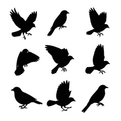 Obraz premium Bird Silhouettes Collection: Flying and Perching Poses