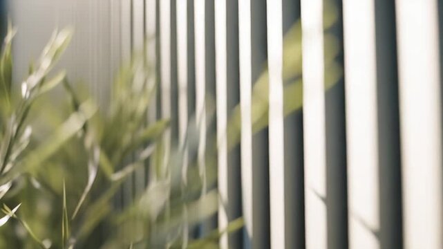 Green plant branches with slender leaves are catching sunlight, creating natural shadows against a soft focus, light colored, vertical slatted background