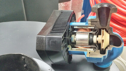 The sectional view of the circulation pump shows its internal structure: a black motor housing, copper windings, a rotor and a blue cast iron spiral housing with a plastic impeller.