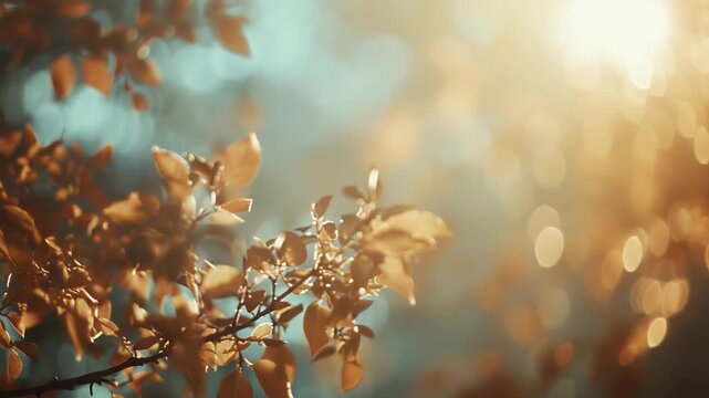 Tree branch with glowing golden autumn leaves gently catching the warm sunlight, creating a serene and ethereal nature scene with soft, dreamy out of focus background elements