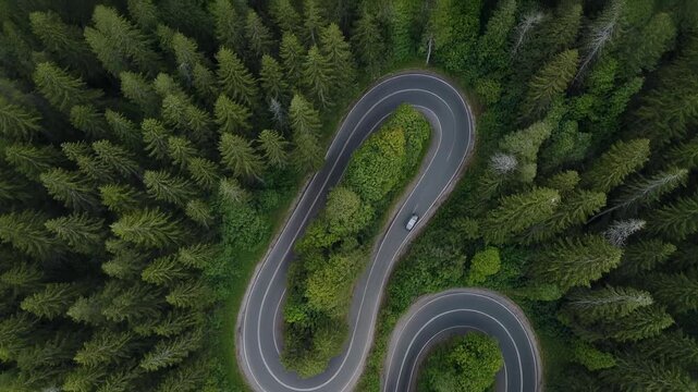 Aerial View of Winding Road Through Forest - A Scenic Journey.