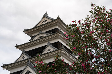 Fototapeta premium 愛媛県・大洲城の天守を間近から見上げた風景。 愛媛県大洲市にある大洲城を、近くから見上げる構図で撮影した写真。白壁と美しい天守の造形が際立ち、日本の歴史と城郭建築の魅力を感じさせる一枚です。
