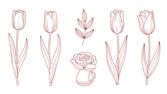 Elegant floral line art with tulips and roses
