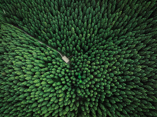 Aerial view of beautiful forest mountain landscape
