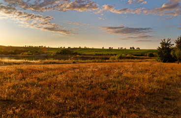 Fototapeta premium Mainaue bei Astheim am Main an der Vokacher Mainschleife, Stadt Vokach, Landkreis Kitzingen, Unterfranken, Franken, Bayern, Deutschland