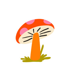 hand drawing mushrooms illustration