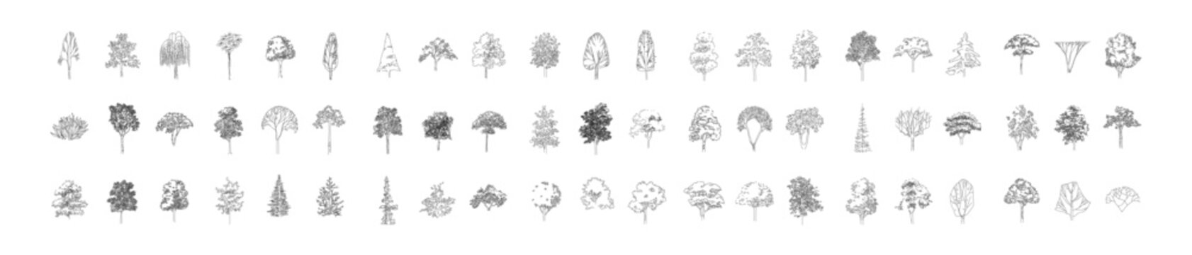 CAD Drawings. front View Vector Icons of Trees and Plants for Floor Plan and Architectural Design Projects	